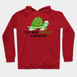 You are turtley awesome Hoodie